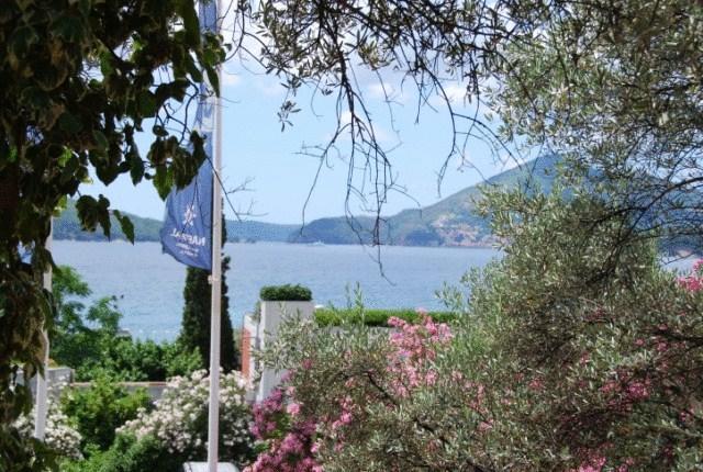 Apartment Milan's Sveti Stefan